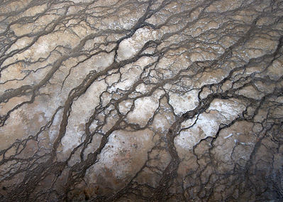 runoff, grand prismatic spring
midway geyser basin
