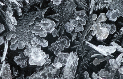 hoarfrost on the truck
