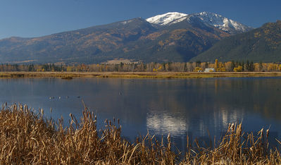 st mary's peak
Keywords: fall color;st marys peak
