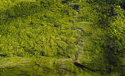 geyser creek
artist paint pots trail
